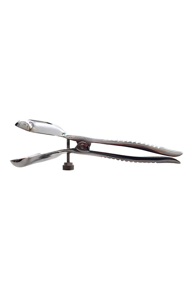 Anal Speculum - Stainless Steel