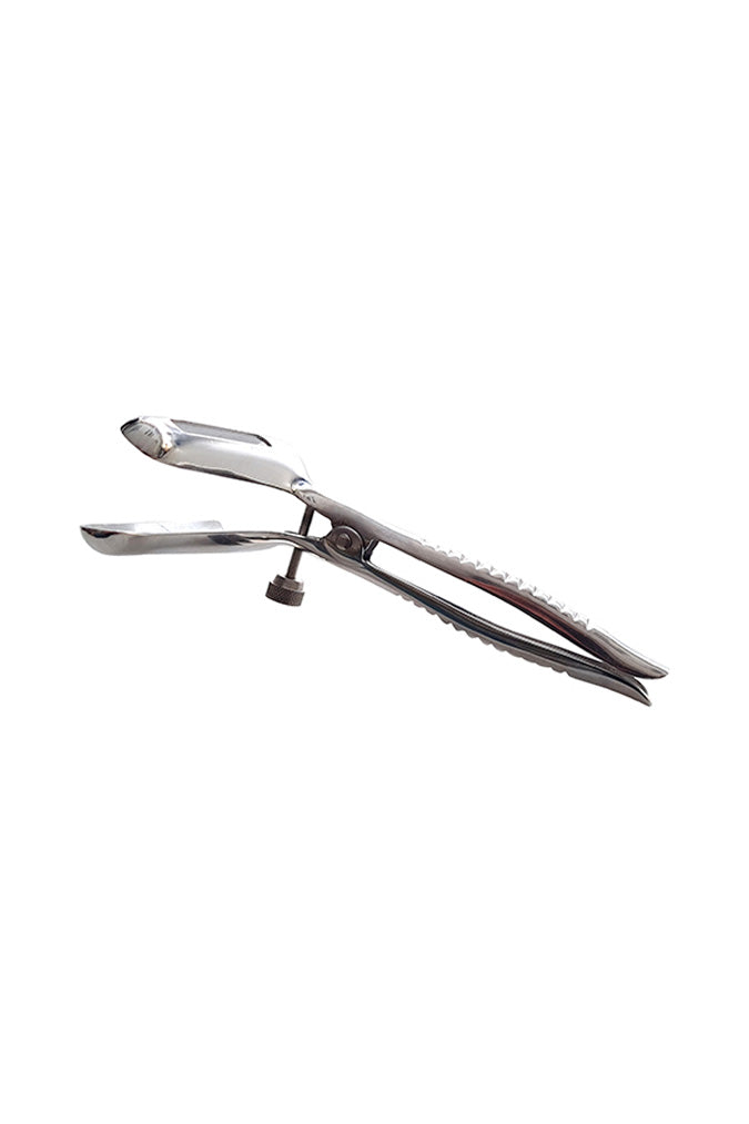 Anal Speculum - Stainless Steel