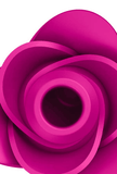 Clitoral Suction Stimulator - Pro 2 Modern Blossom