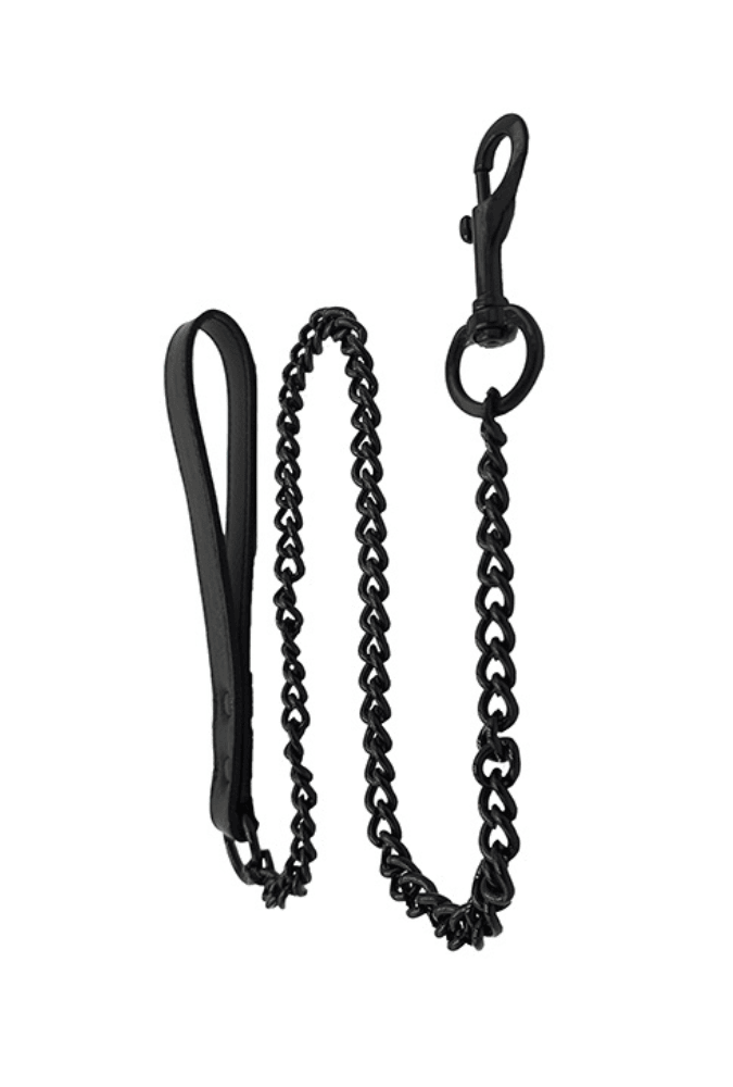 Elegant Leash with Chain - Leather