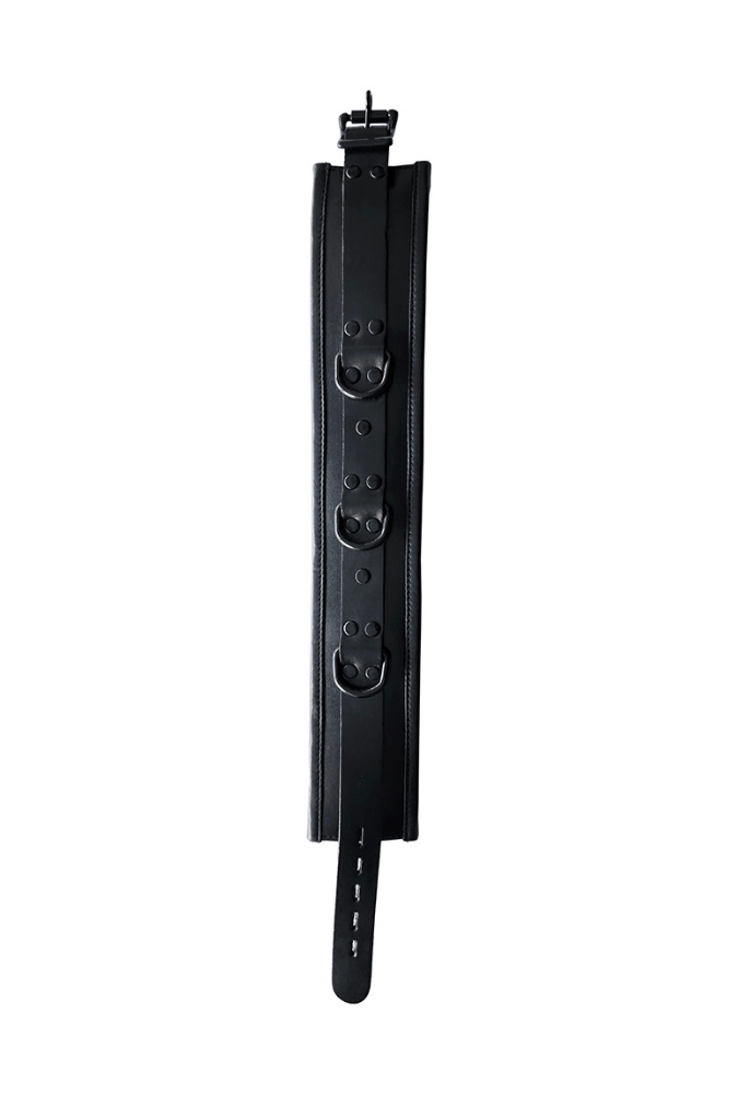 Padded Collar, Black with Black Accessories - ROUGE