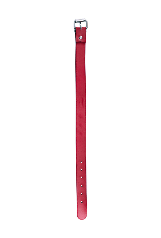 Leather O-Ring Studded Collar - ROUGE