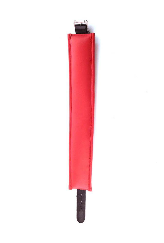 Leather 5 D-Ring Collar - ROUGE