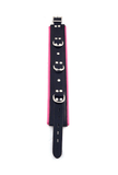 Leather 5 D-Ring Collar - ROUGE
