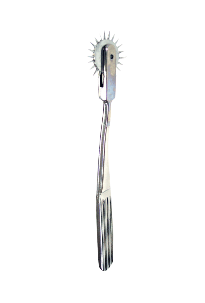 Wartenberg Pinwheel Single Caster - Stainless Steel