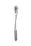 Wartenberg Pinwheel Single Caster - Stainless Steel