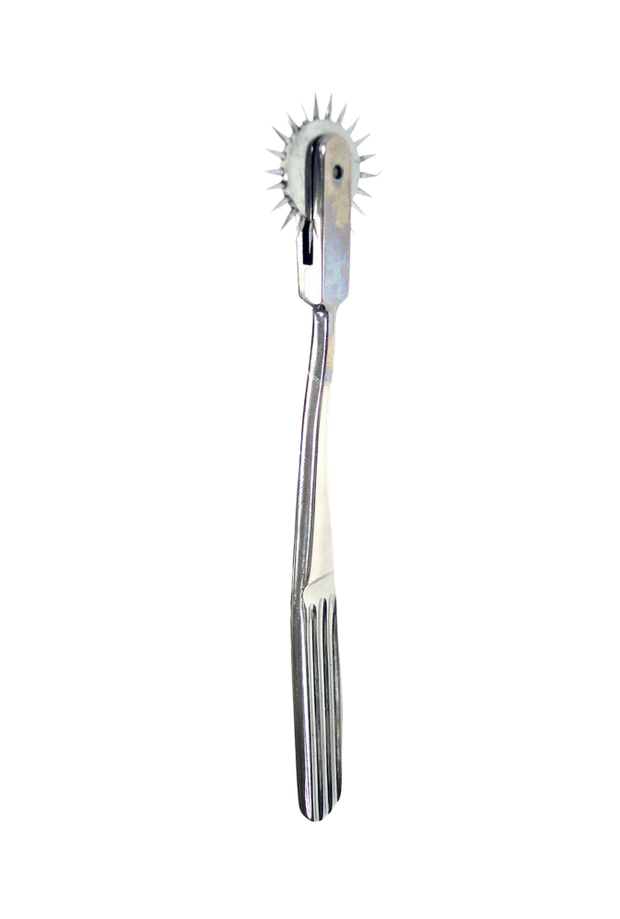 Wartenberg Pinwheel Single Caster - Stainless Steel