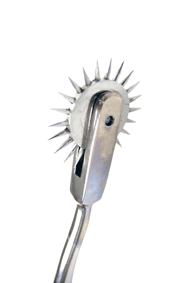 Wartenberg Pinwheel Single Caster - Stainless Steel