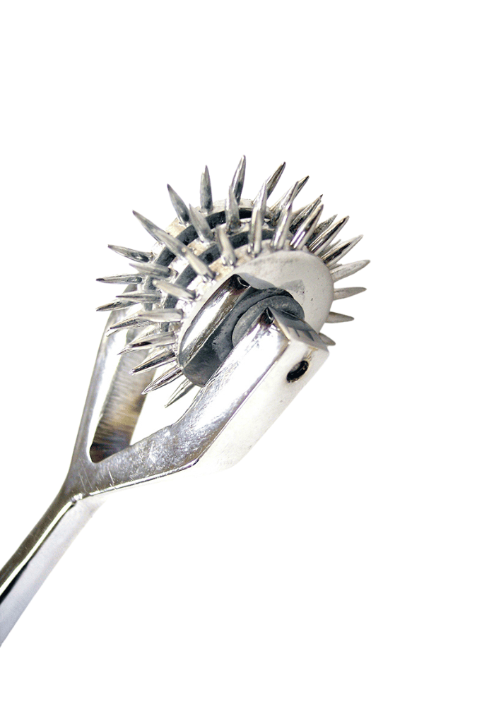 Wartenberg Pinwheel Triple Caster - Stainless Steel