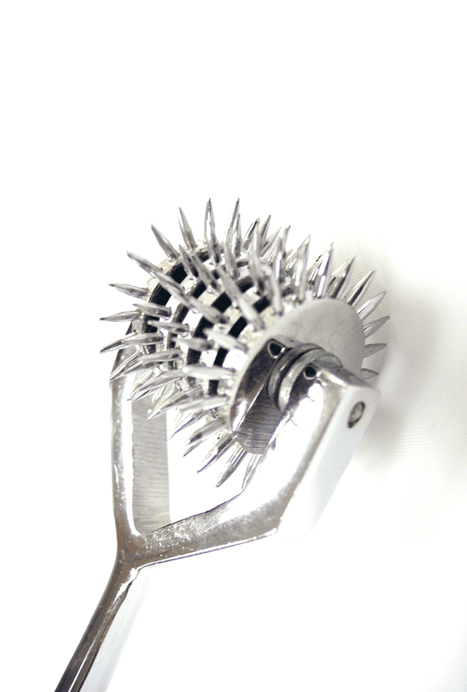 Wartenberg Pinwheel 5-Wheel Caster - Stainless Steel