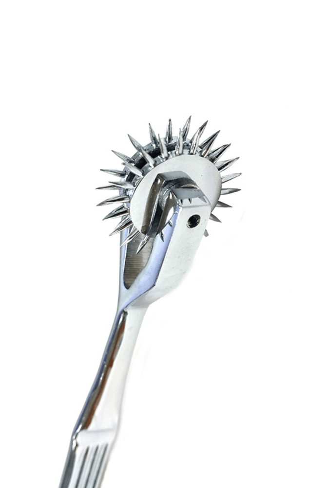 Wartenberg Pinwheel Double Caster - Stainless Steel