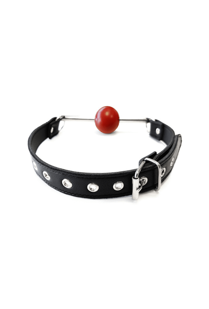 Leather Ball Gag - Stainless Steel Rod & Removable Ball
