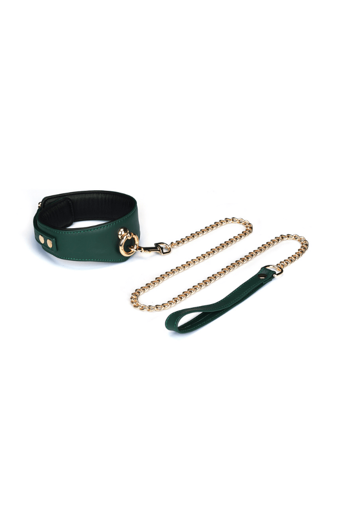 Mossy Chic Leather BDSM Collar with Chain Leash and Lock