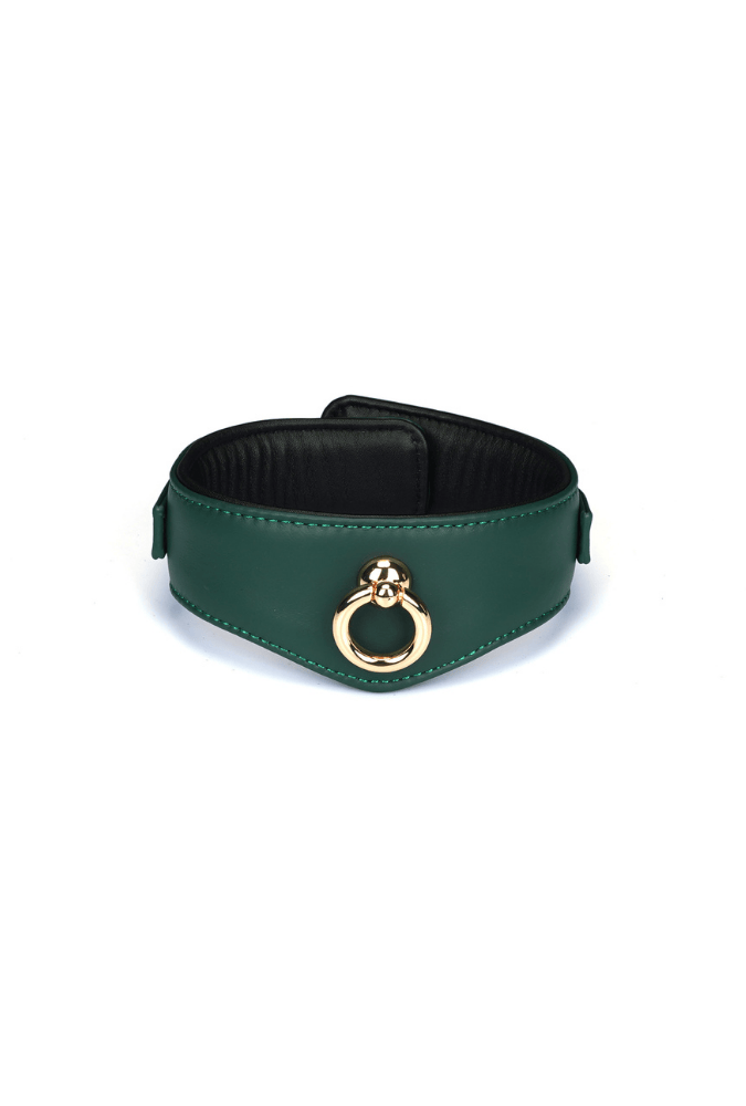 Mossy Chic Leather BDSM Collar with Chain Leash and Lock