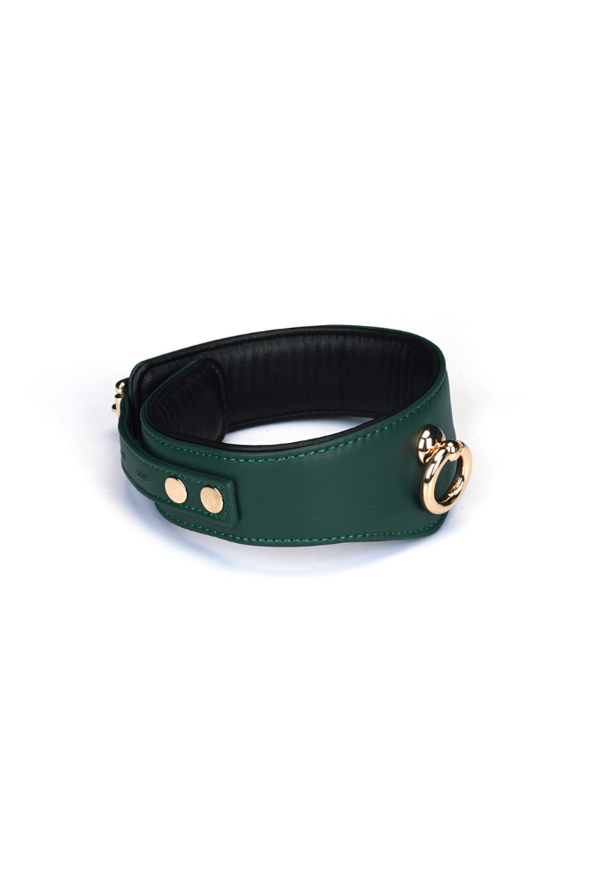 Mossy Chic Leather BDSM Collar with Chain Leash and Lock