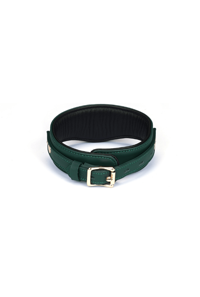 Mossy Chic Leather BDSM Collar with Chain Leash and Lock