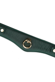 Mossy Chic Leather BDSM Collar with Chain Leash and Lock