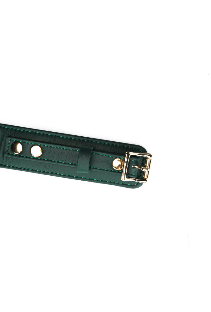 Mossy Chic Leather BDSM Collar with Chain Leash and Lock