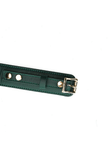 Mossy Chic Leather BDSM Collar with Chain Leash and Lock