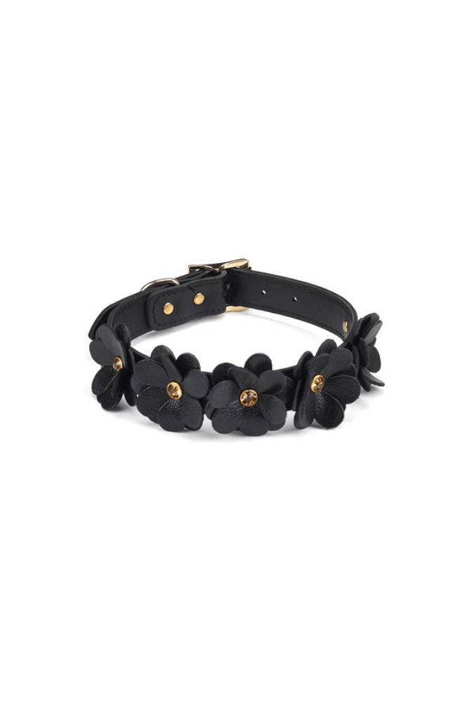 Leather BDSM Collar with Leash - Flower Rhythm