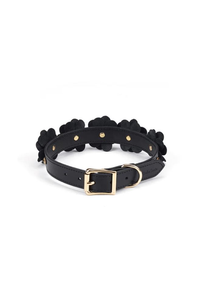 Leather BDSM Collar with Leash - Flower Rhythm