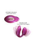 Iridescent Berry